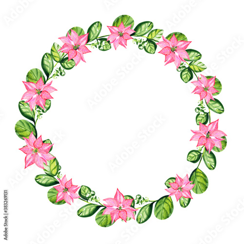 Christmas decorations with snowberry and poinsettia, watercolor wreath, isolated on white, space fot text.