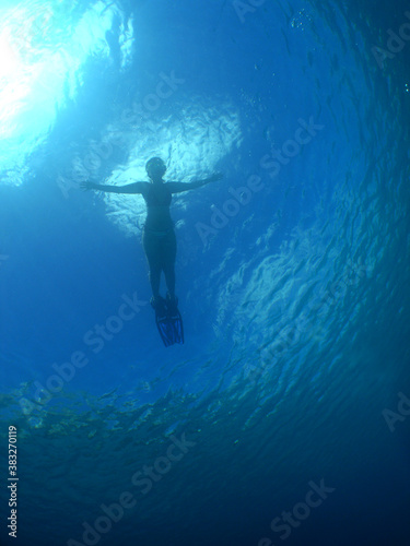  snorkel in the crystal clear waters of the island of Curacao © gustavo
