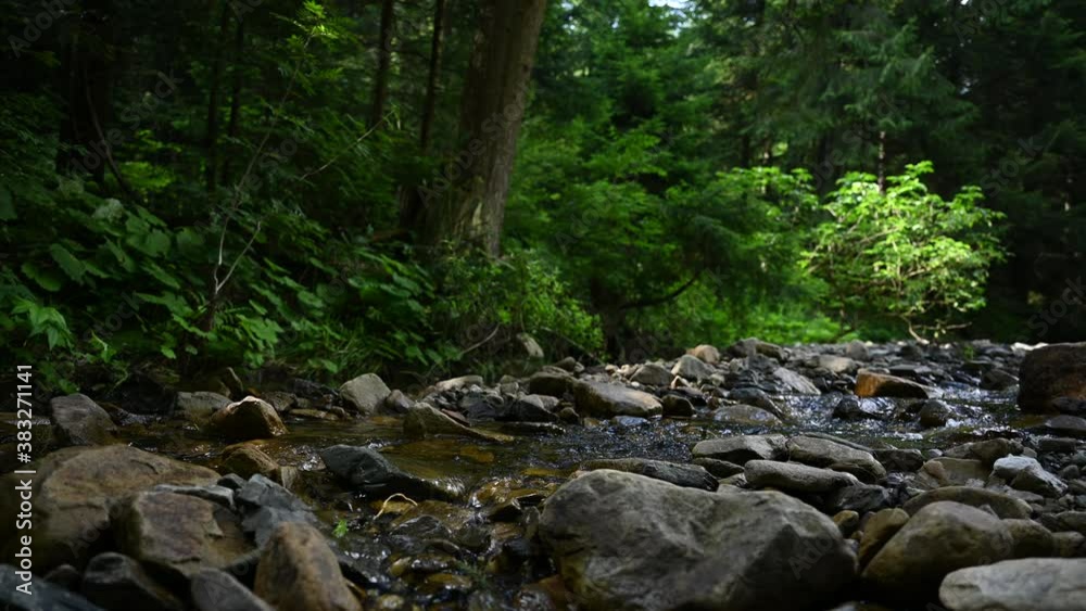 Mountain river water landscape. Wild river in mountains Mountain river water landscape. Wild river in mountains