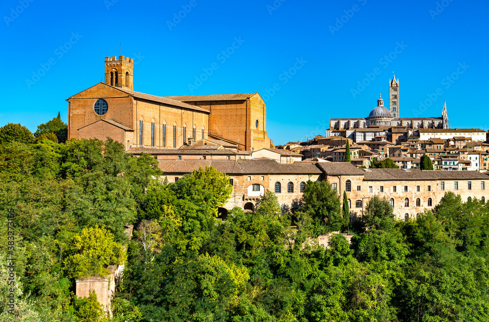 The Basilica of San Domenico and the Cathedral of Siena. UNESCO world heritage in Tuscany, Italy