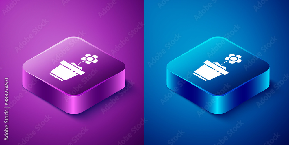 Isometric Flower in pot icon isolated on blue and purple background. Plant growing in a pot. Potted plant sign. Square button. Vector Illustration. Isometric Flower in pot icon isolated on blue and purple background. Plant growing in a pot. Potted plant sign. Square button. Vector Illustration.