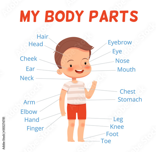 Child learning poster. Cheerful boy and his body parts with signatures. Human body study for children