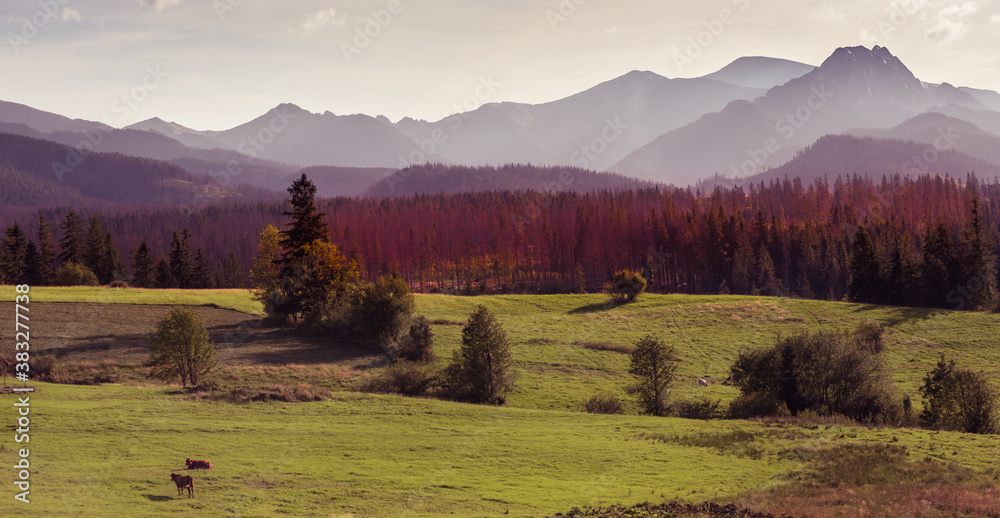 Autumn landscape of Tatra Mountains - misty mountains, frost, cold mornings, colourful trees