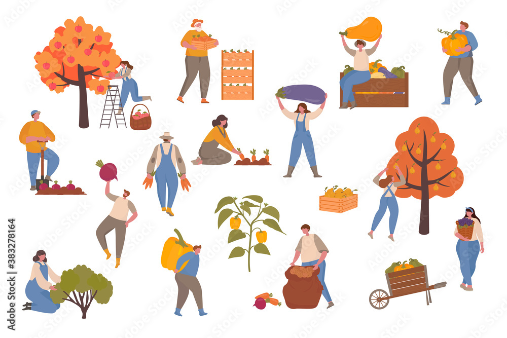 Male and Female Farmers Characters Harvesting on Farm. Vector illustration with small people for web page, presentation, print, banner. Farming, harvesting, collecting vegetables.
