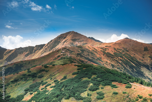 Fototapeta Naklejka Na Ścianę i Meble -  Path in mountains - Tatra Mountains Range