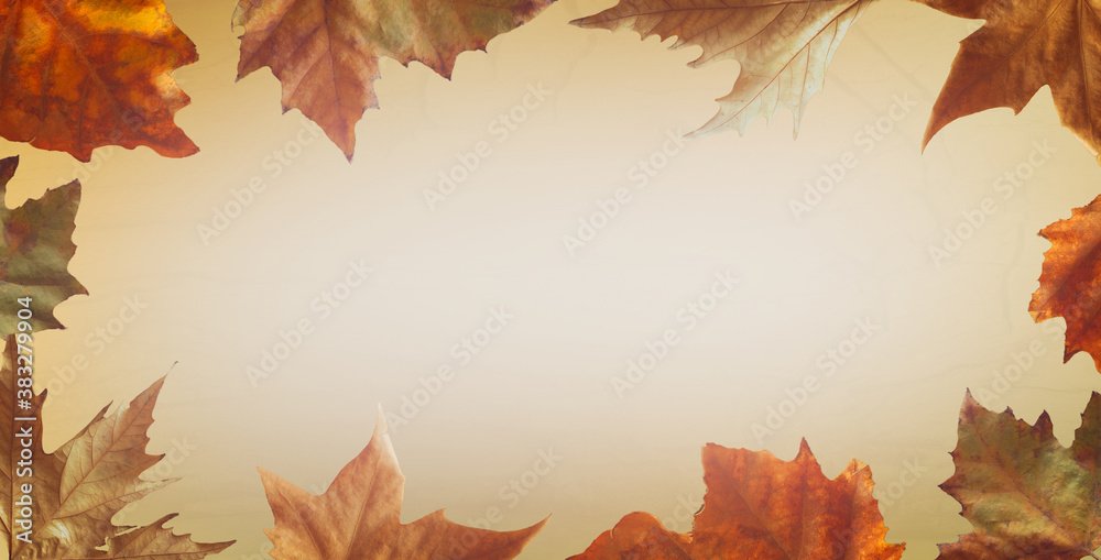 autumn leaves frame autumn leaves frame