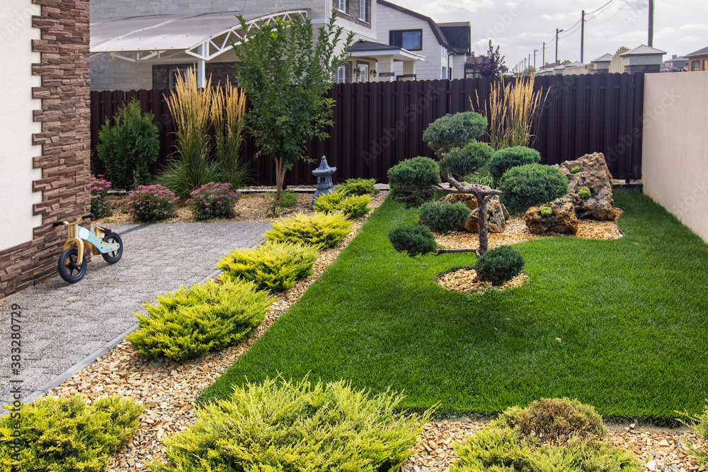 Modern conifer tree garden design. Front yard landscaping. Cloud pruned topiary tree, tuya and decorative cereals grass.