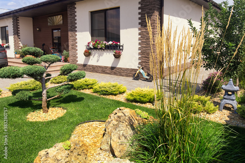 Modern  conifer tree garden design. Front yard landscaping. Cloud pruned topiary tree and decoratice cereals grass.