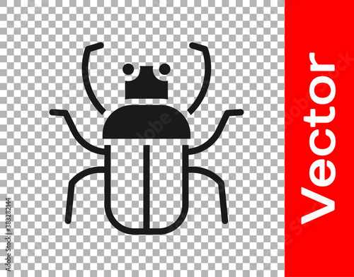 Black Stink bug icon isolated on transparent background. Vector.