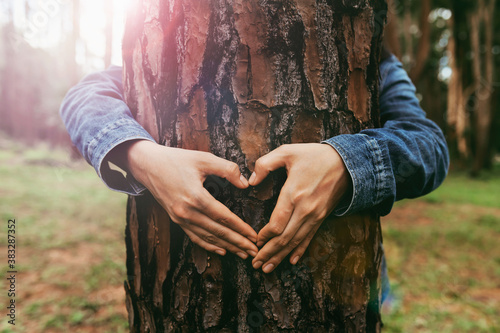 woman hand making heart shape on trunk of tree