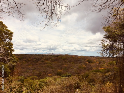 Dry forest Santa Rosa National Park  photo