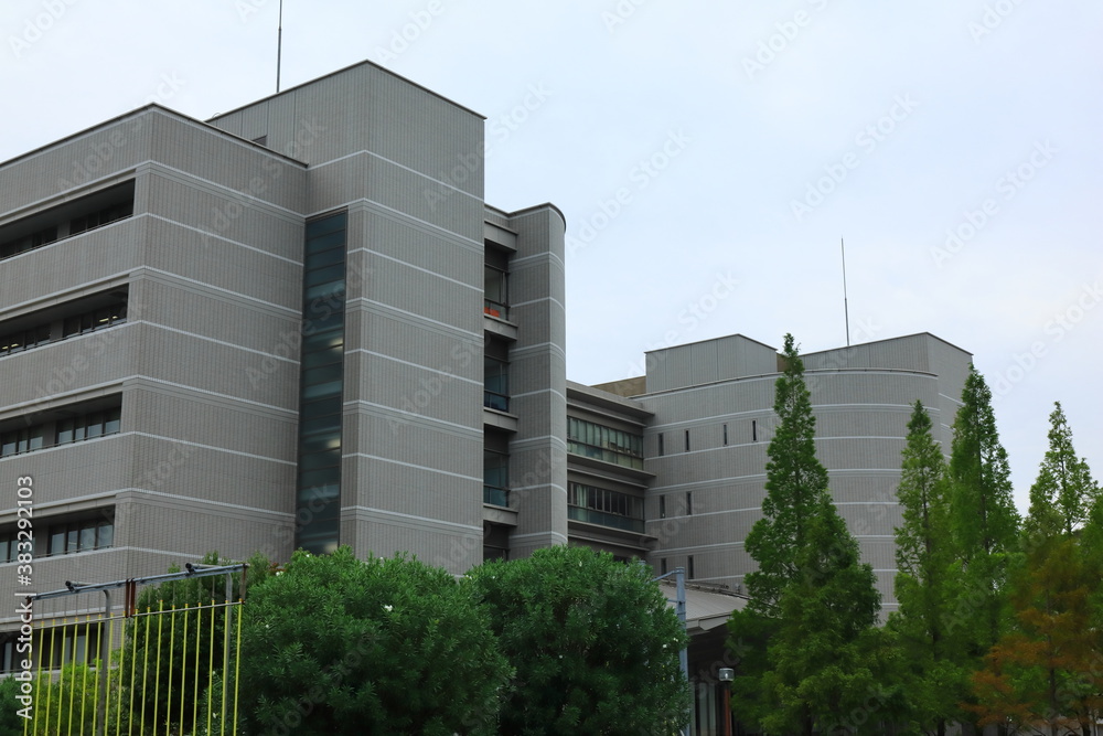 Fototapeta premium 大阪 日本