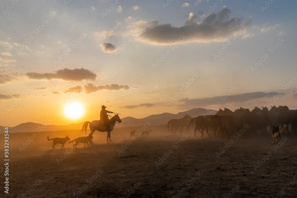 Wild horses run in foggy at sunset. Between Cappadocia and Kayseri, Turkey Wild horses run in foggy at sunset. Between Cappadocia and Kayseri, Turkey