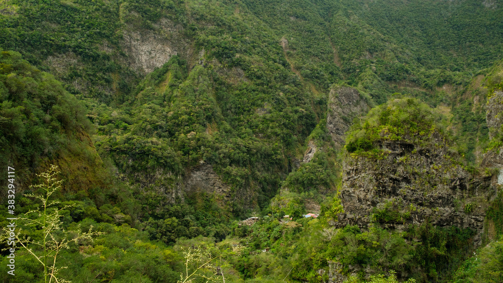 View on a tropical forest in the mountains, Reunion Island