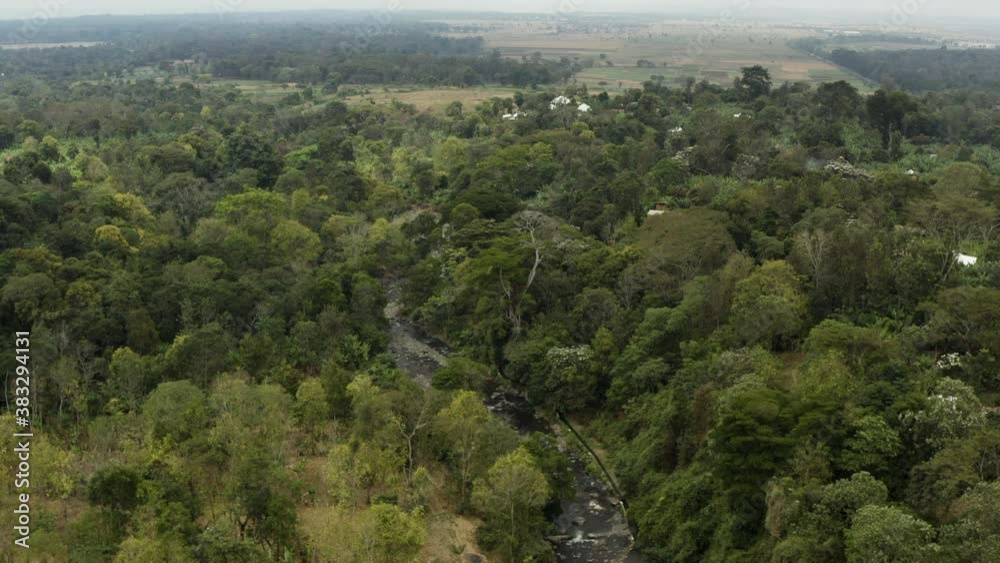 Aerial shot Tanzania. Drone video of the green jungle with trees between which flows a mountain river, a beautiful landscape. Aerial shot Tanzania. Drone video of the green jungle with trees between which flows a mountain river, a beautiful landscape.