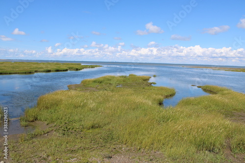 The beautiful Wadden Sea between the Danish mainland and Mandø island. 