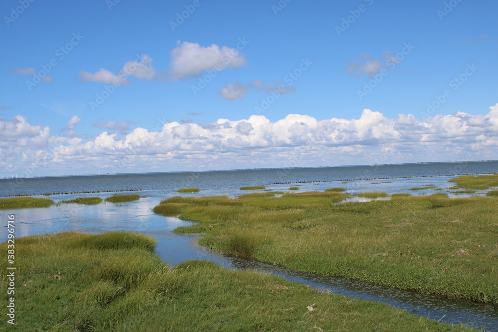 The beautiful Wadden Sea between the Danish mainland and Mandø island. 