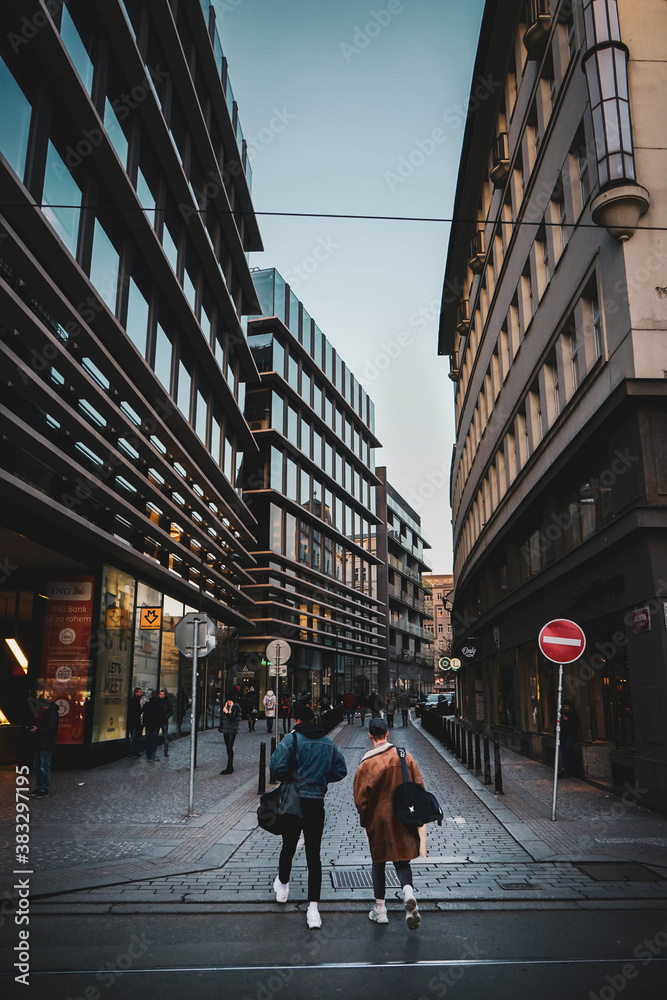 people walking in the city