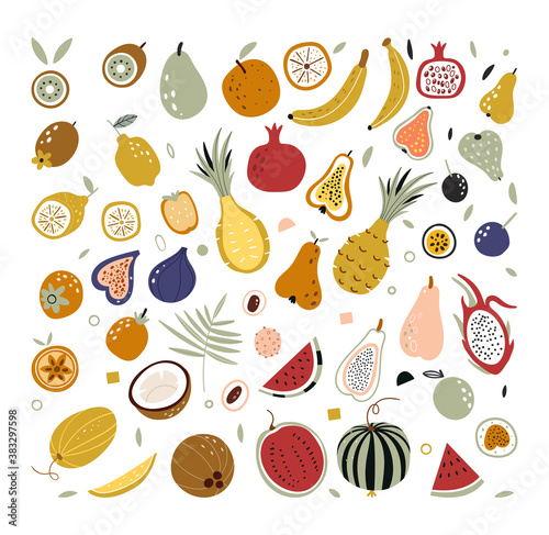 Fototapeta Naklejka Na Ścianę i Meble -  Hand drawn tropical and exotic fruits isolated on white background in unique trendy organic style. Doodle fruits. Natural tropical fruit. Vector illustrations of autumn objects fruits and vegetables.