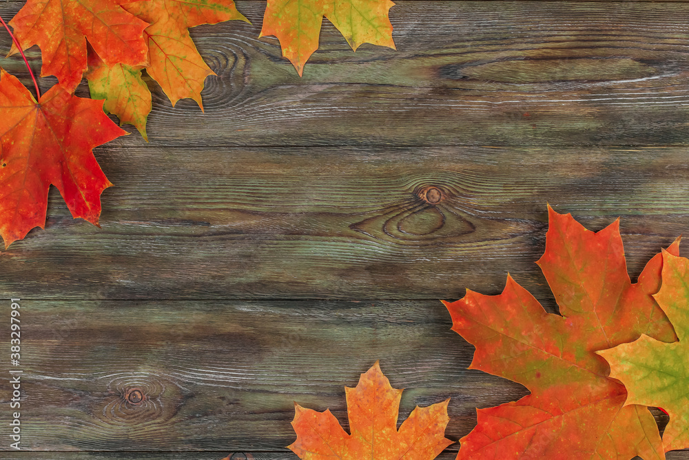 Obraz premium Bright red and orange maple leaves on an old wooden table flat lay. Frame made of autumn foliage on a wooden background copy space.