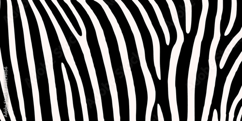 Black and white zebra skin vector pattern