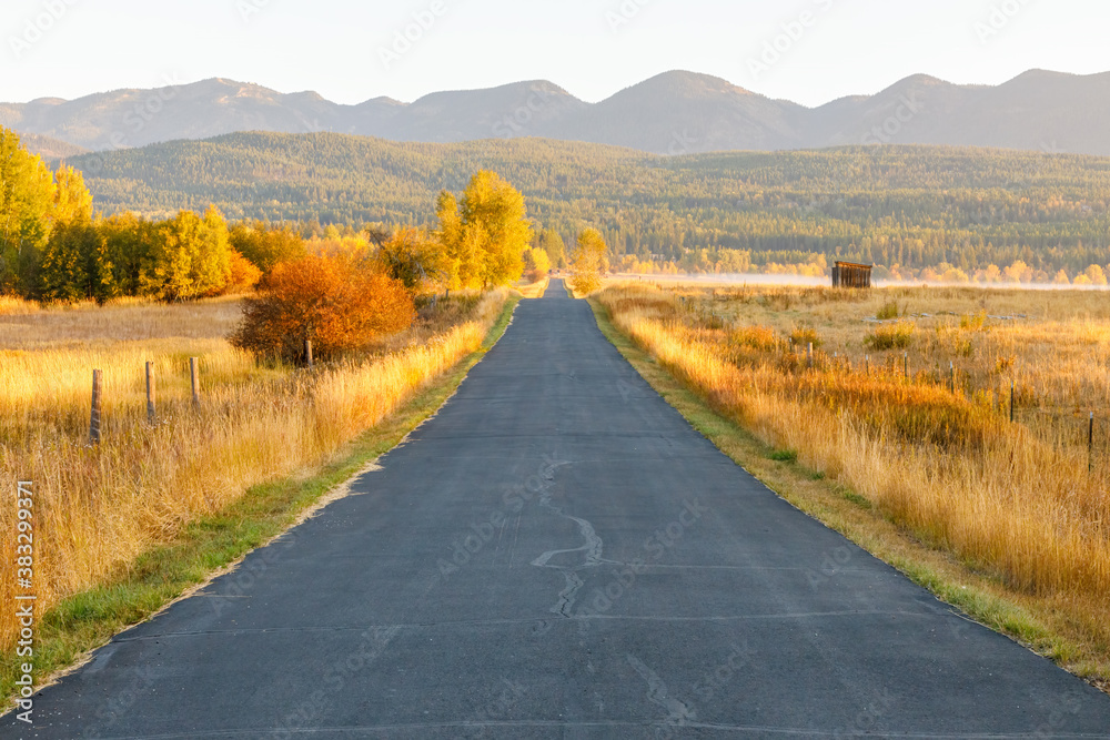 Naklejka premium autumn colorful landscape with a country road lined with foliage leading to a farm in northwest Montana