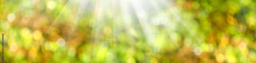 Fototapeta premium Image of sun rays on blurred background