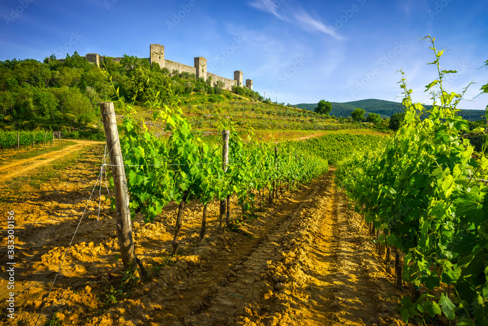 Fototapeta premium Monteriggioni medieval fortified village and vineyards, Siena, Tuscany. Italy