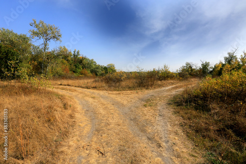 Принти на полотні fork rut road in steppe