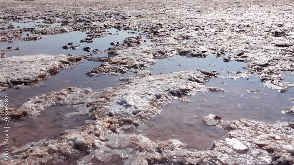 The bottom of a dying estuary, lake. Self-precipitating salt covers stones with a layer of white crystals, an environmental problem. Black Sea, Ukraine The bottom of a dying estuary, lake. Self-precipitating salt covers stones with a layer of white crystals, an environmental problem. Black Sea, Ukraine