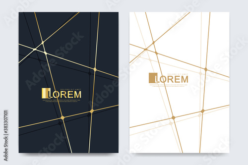Modern vector template for brochure, leaflet, flyer, advert, cover, magazine or annual report in the A4 size. Golden company style for brandbook and guideline. Art deco style.