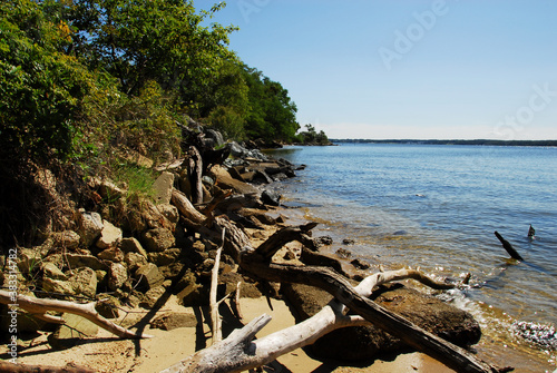 Obraz na płótnie Driftwood, concrete chunks and riprap line shoreline of Patuxent River near Solomons Island, Maryland