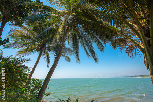 Amazing seascape  with  palm trees   in sunny  day as background of idyllic relaxation in tropical clmate