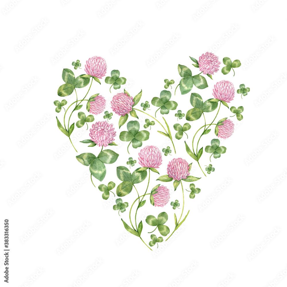 Watercolor hand drawn heart from pink clover flowers and leves. Illustration of meadow flowers. Green clover isolated on the wthite background. 