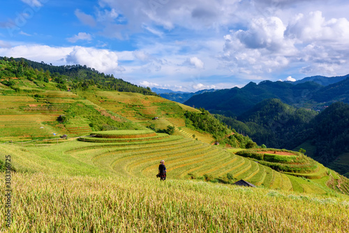 The most of famous terraced rice paddy in Mu Cang Chai, Yen Bai province, Vietnam.