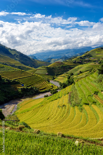Landscape of terraced rice fields in Mu Cang Chai district, Yen Bai province, Vietnam.