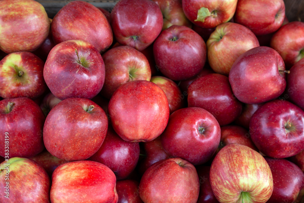 Rote, glänzend frische Äpfel an einem Marktstand Rote, glänzend frische Äpfel an einem Marktstand