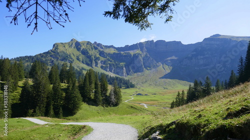 Auf dem Weg zur Kanisfluh, hier Blick zur Alpe Kanis photo