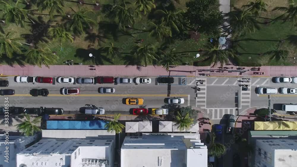 Road with cars in tropical city Road with cars in tropical city
