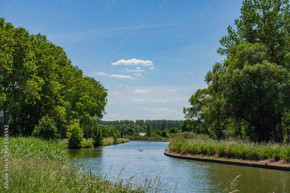 De Ruppel,  river in beautiful nature in Flanders, Klein Willebroek, Belgium