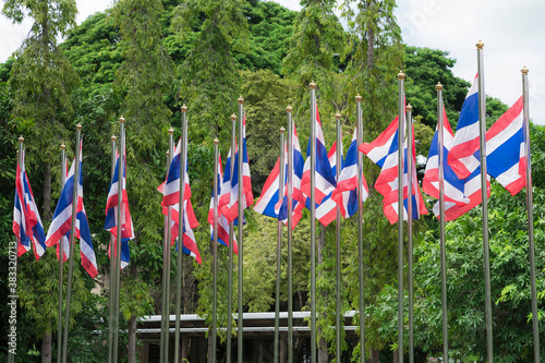 group of Thai nation flags in a park. Thailand.
