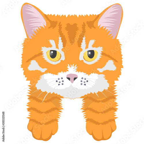 
A toyger cat lives in forest 
