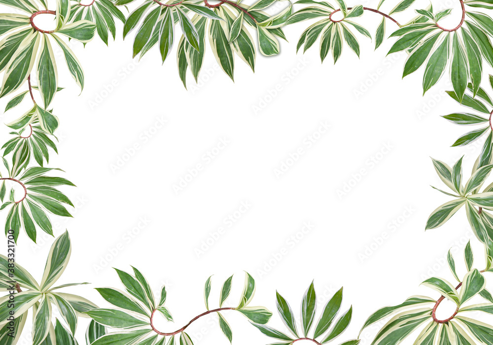 Green leaves border or Leafs as frame isolated on white background