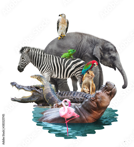 Canvas Print group of animal zebra eagle monkey hippo crocodile flamingo parrot Chameleon com