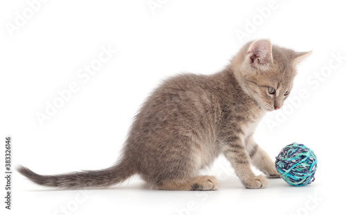 Little kitten playing with a ball of yarn. © Galyna