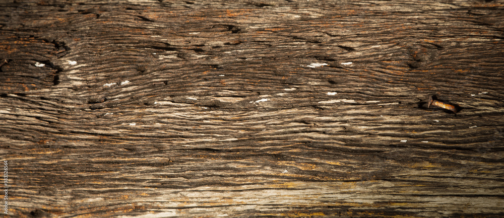 Naklejka premium Panorama and close-up view of lumber bark with orange and rusty nail shows beautiful detail and color on the surface with lighting and shade. It can be used as background and backdrop