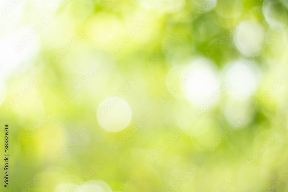 Green bokeh bright blurred green background is a beautiful natural sparkle in the daytime of the trees. Green bokeh bright blurred green background is a beautiful natural sparkle in the daytime of the trees.