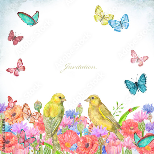 Fototapeta Naklejka Na Ścianę i Meble -  lovely couple of yellow birds in meadow wild flowers with red poppies surrounded flying butterflies. watercolor painting
