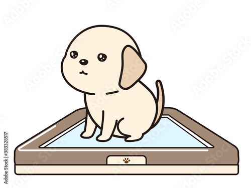 トイレで排泄する子犬