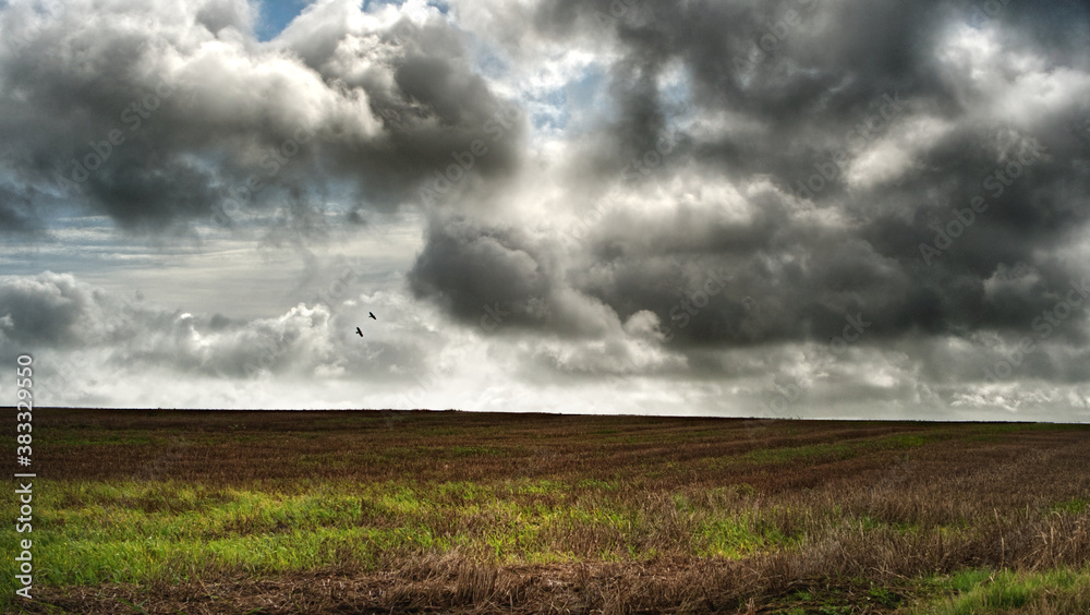 Rural views with a powerful dark sky, just before the rain.